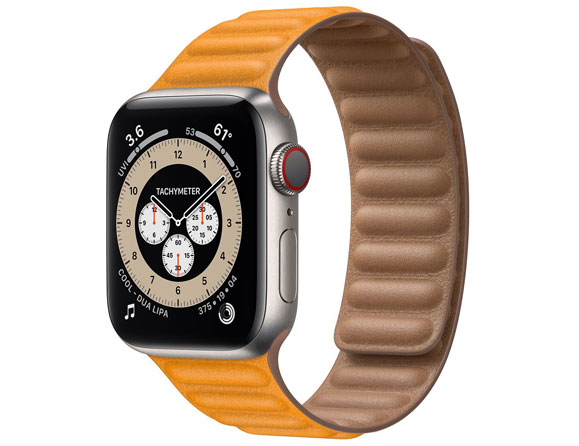 Apple Watch Series 6 Titanium Case 40mm (GPS + Cellular)