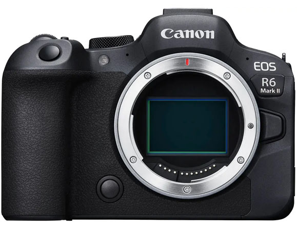  24.2 MP Body Only