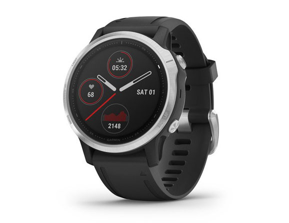 Garmin Fenix 6S 42mm (Multisport Fitness Watch)