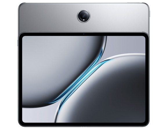  256 GB 12.1"
