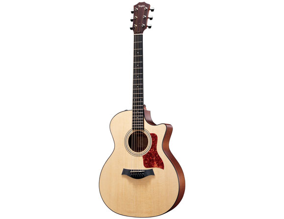 Taylor Acoustic Guitar